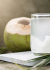 Agua de Coco: hidratación natural